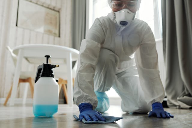 pexels matilda wormwood 4099085