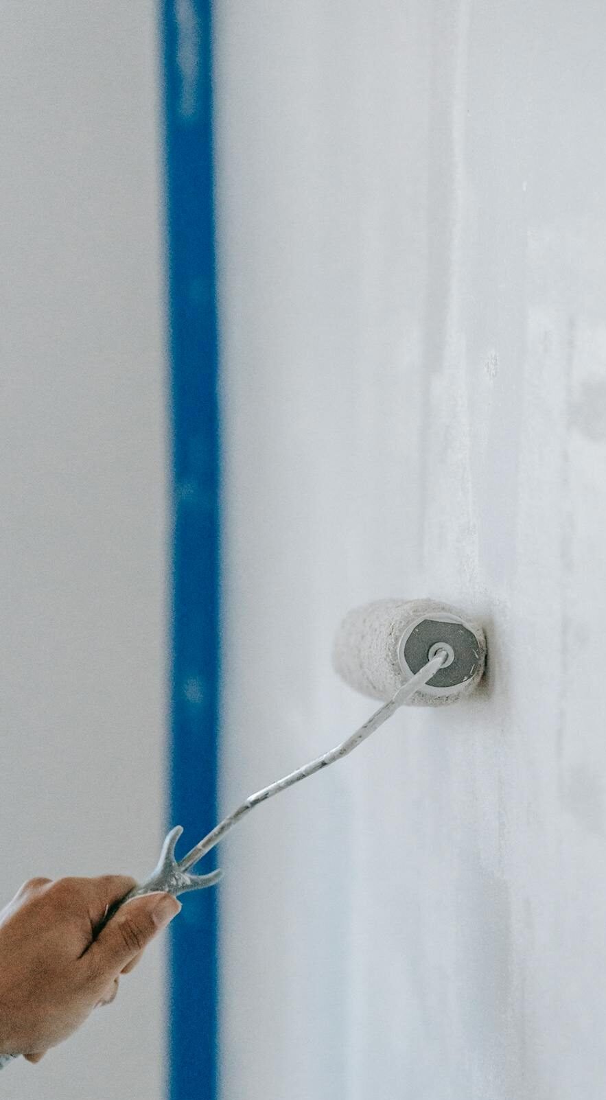 pexels blue bird 7218578 e1772105908387